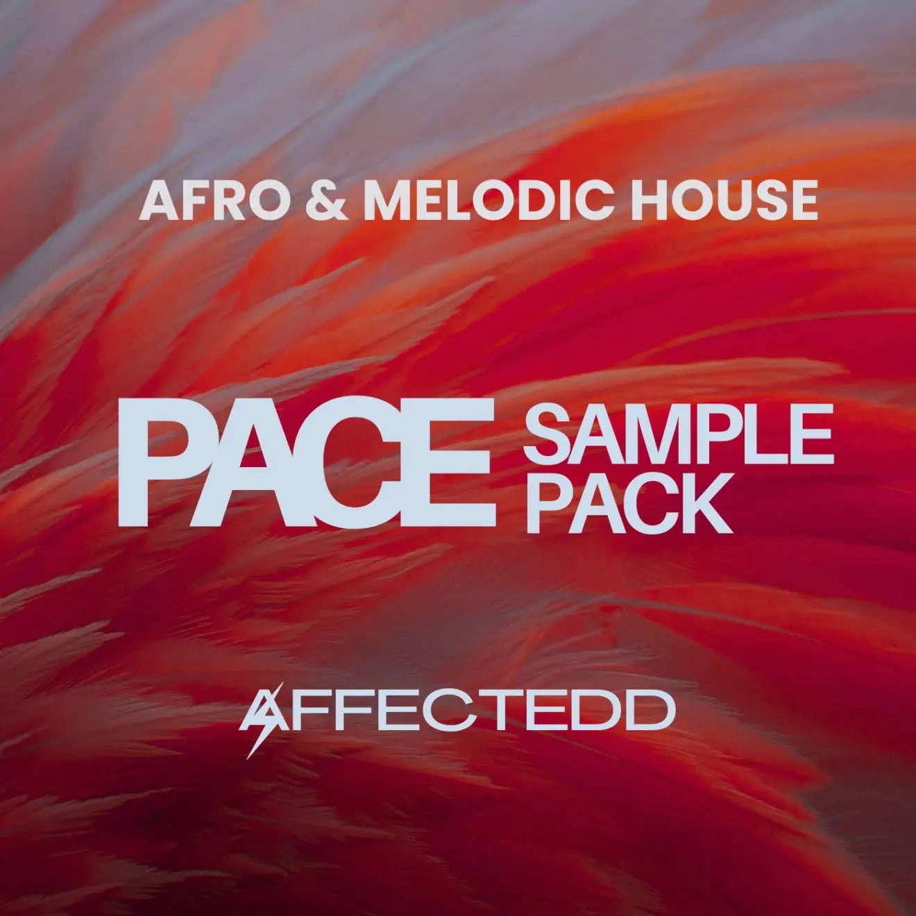 Pace - Afro & Melodic House Songstarters - Ableton Live Project Templates
